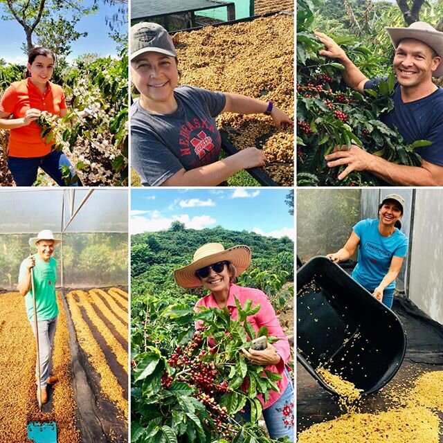 We choose to farm because we LOVE COFFEE and we LOVE PEOPLE! Farmers Project has arrived in the USA... Non-stop DIRECT TRADE from our farms to you. Thanks to our Roaster partners for the amazing welcome!  A few bags left...but going very fast! 💥🙌🏼