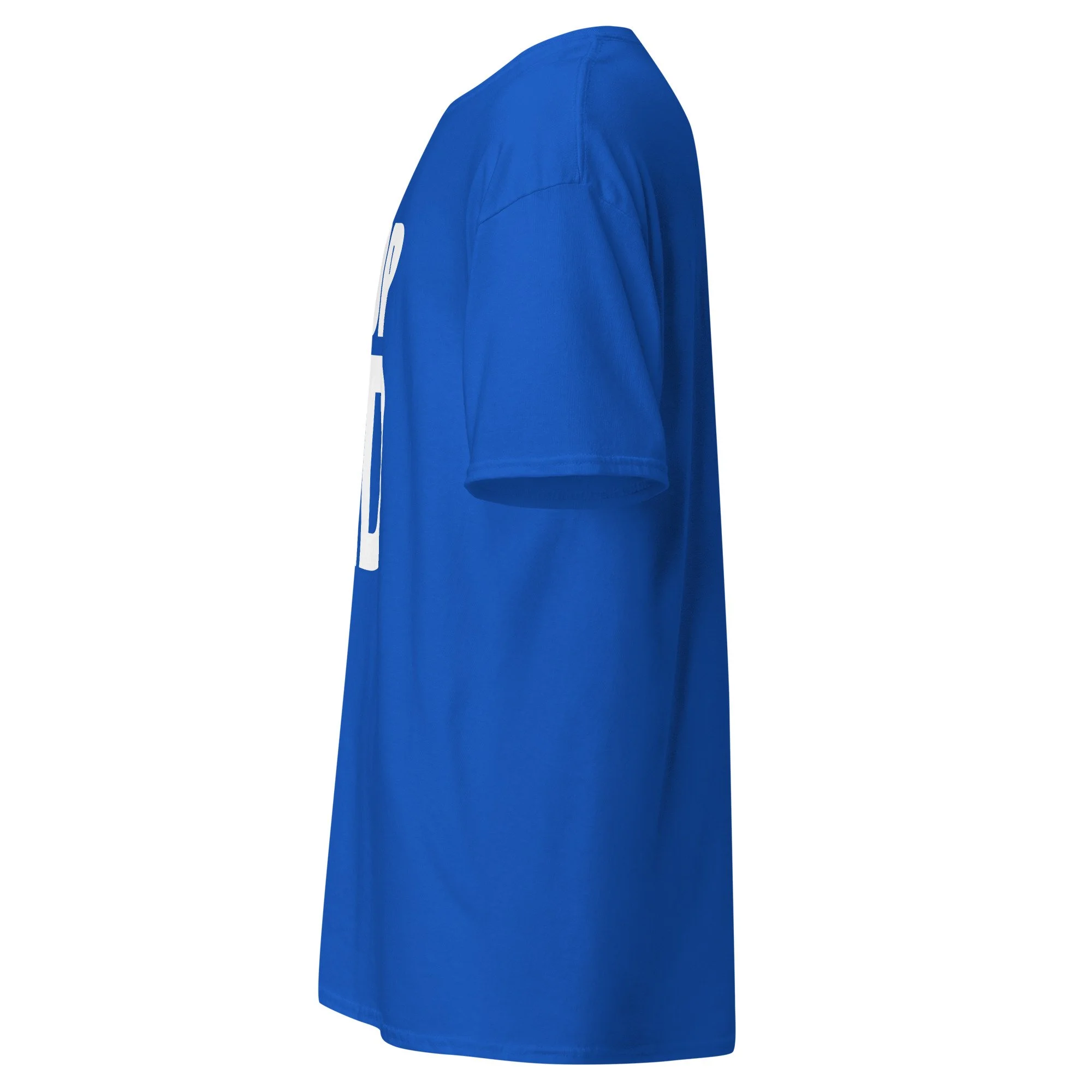 unisex-classic-tee-royal-left-68be5b2b040c3.jpg