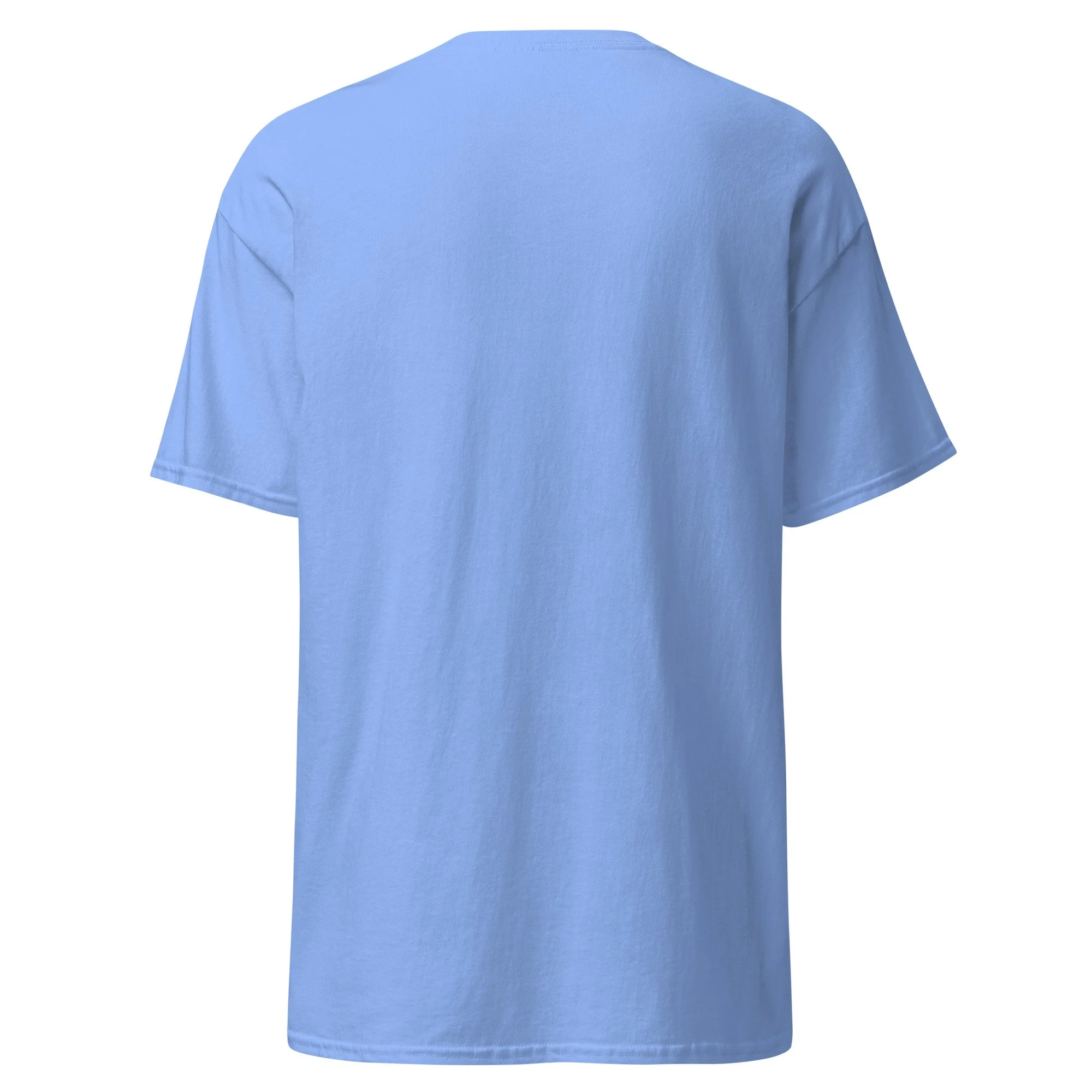 unisex-classic-tee-carolina-blue-back-68be5c30a990a.jpg