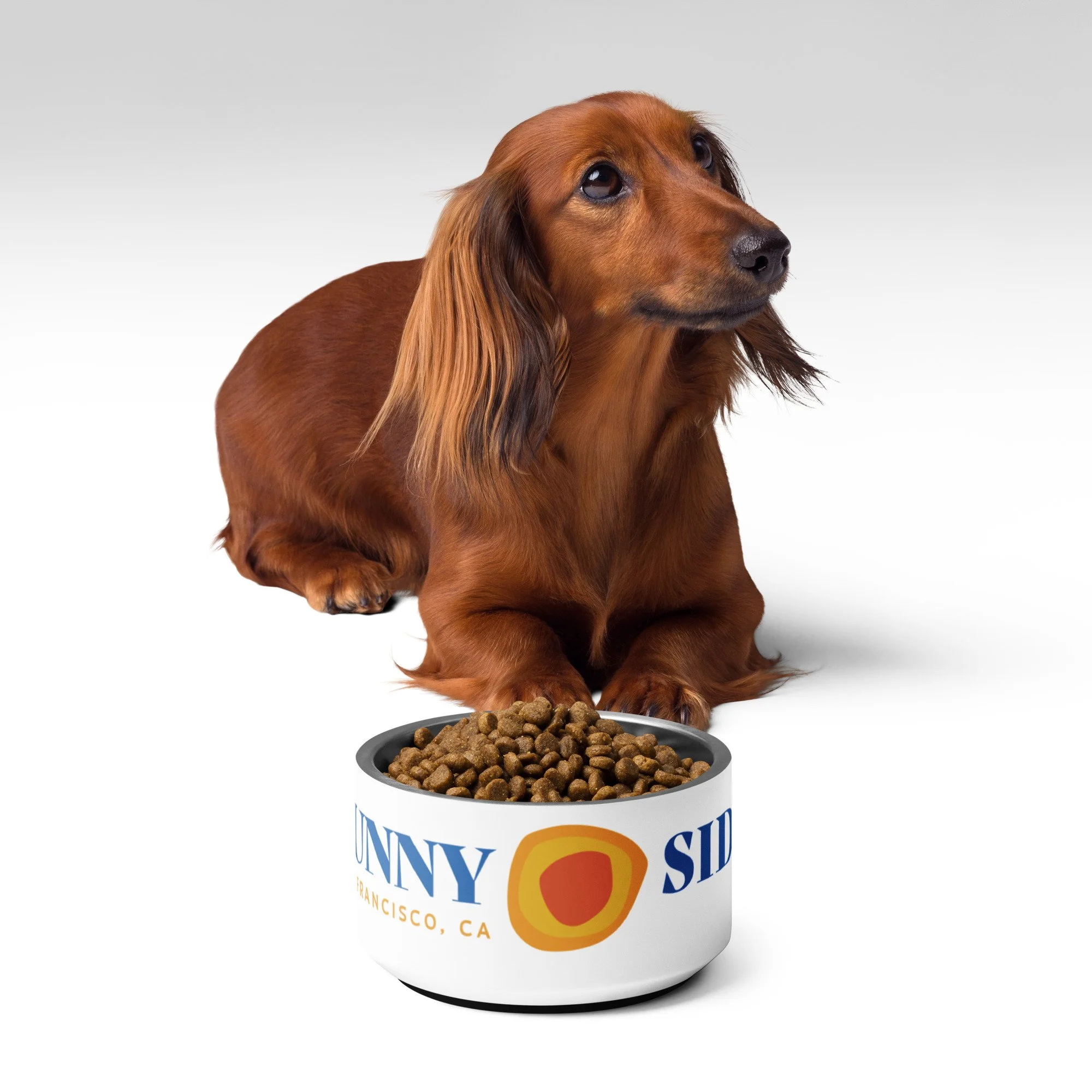 pet-bowl-white-18-oz-front-6a003635c9698.jpg
