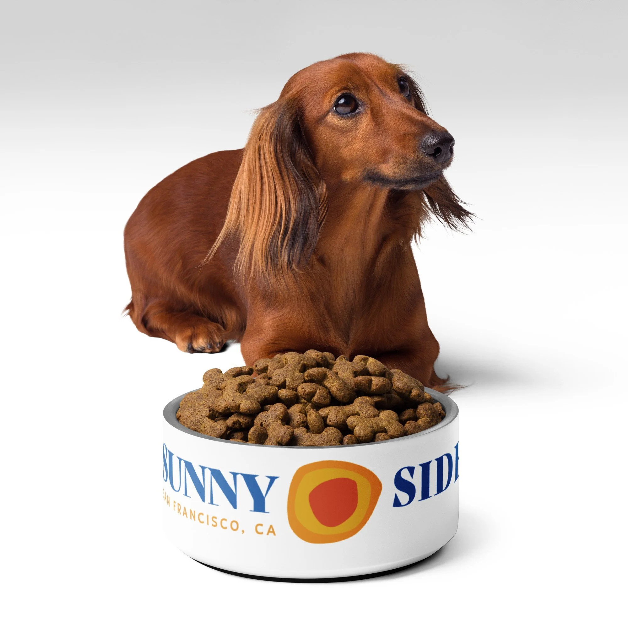 pet-bowl-white-32-oz-front-6a003635c9b21.jpg