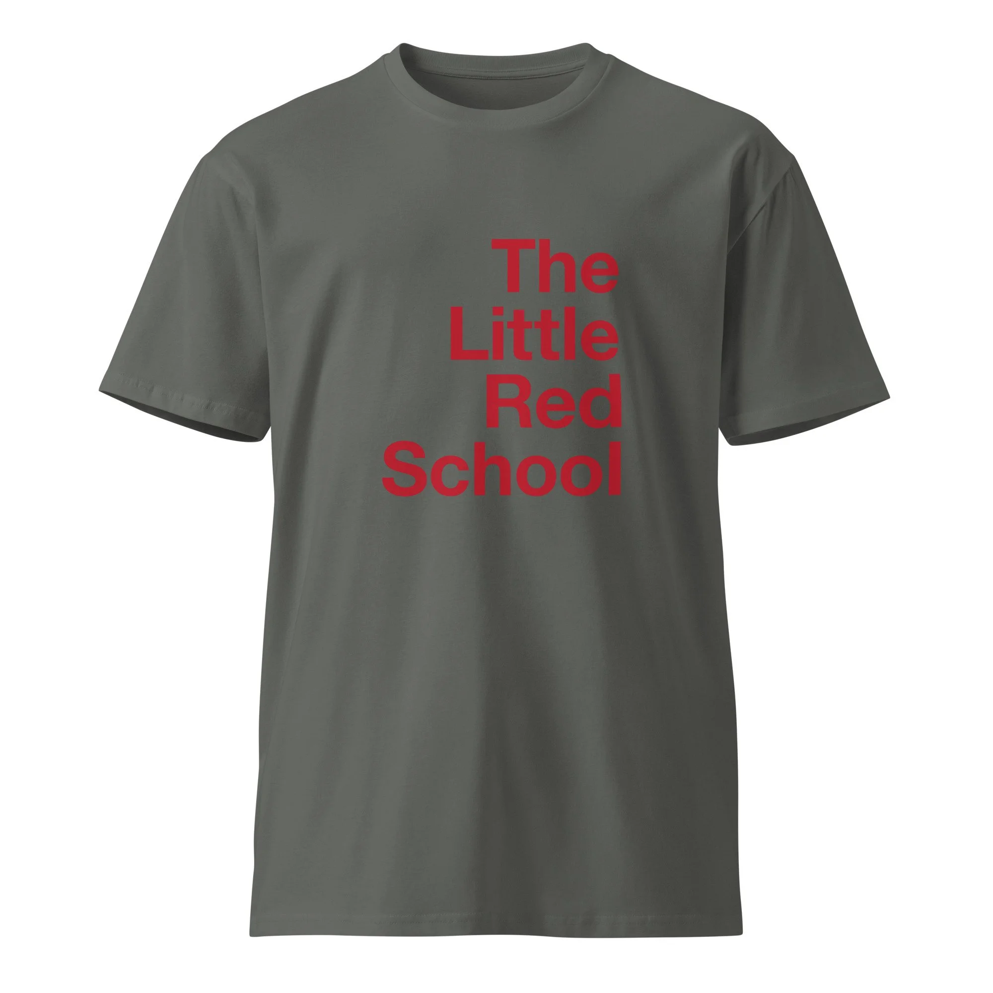 unisex-premium-t-shirt-charcoal-front-6a040e4795d4b.jpg