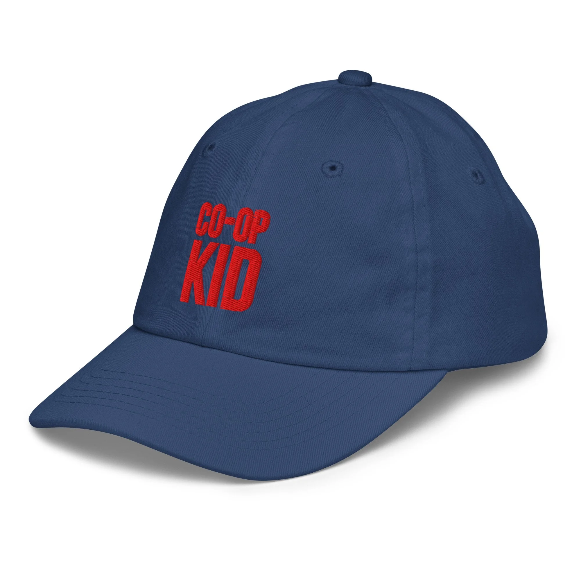 youth-baseball-cap-royal-left-front-6a0418df045e7.jpg