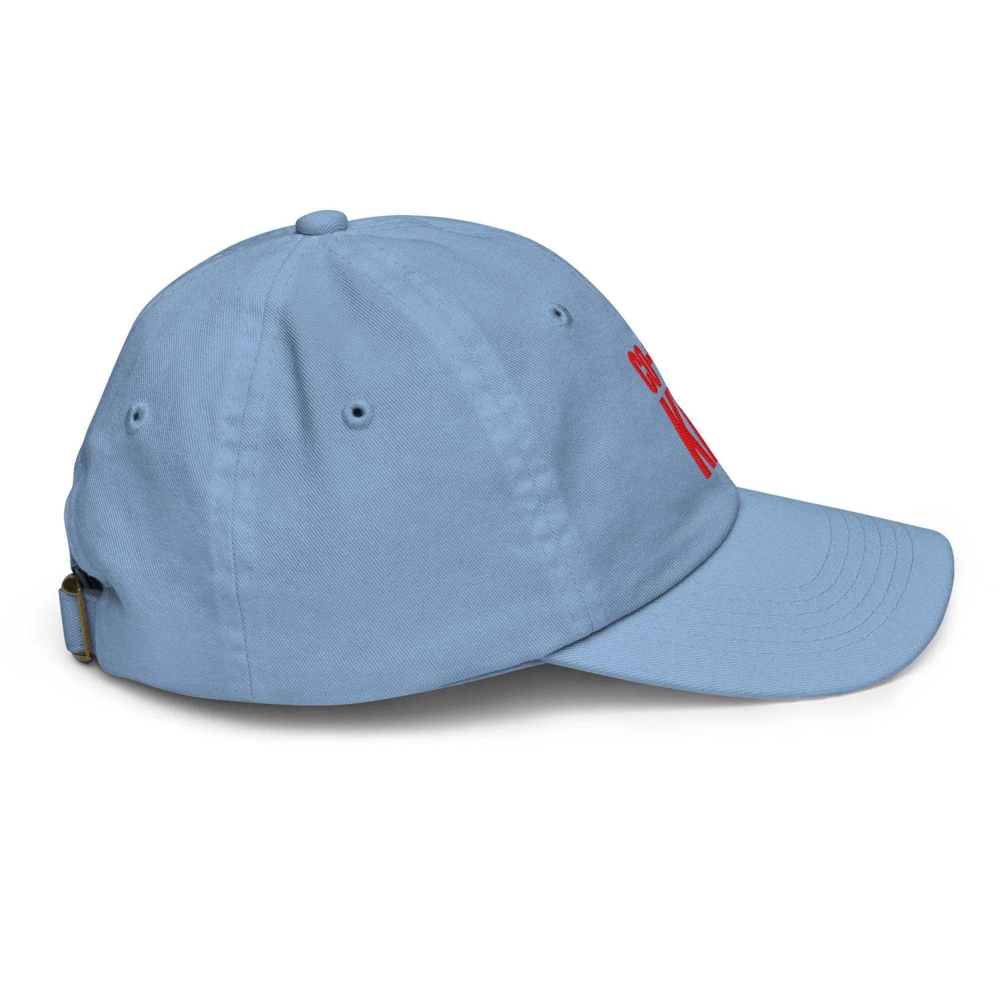 youth-baseball-cap-baby-blue-right-side-6a0418df04bfe.jpg