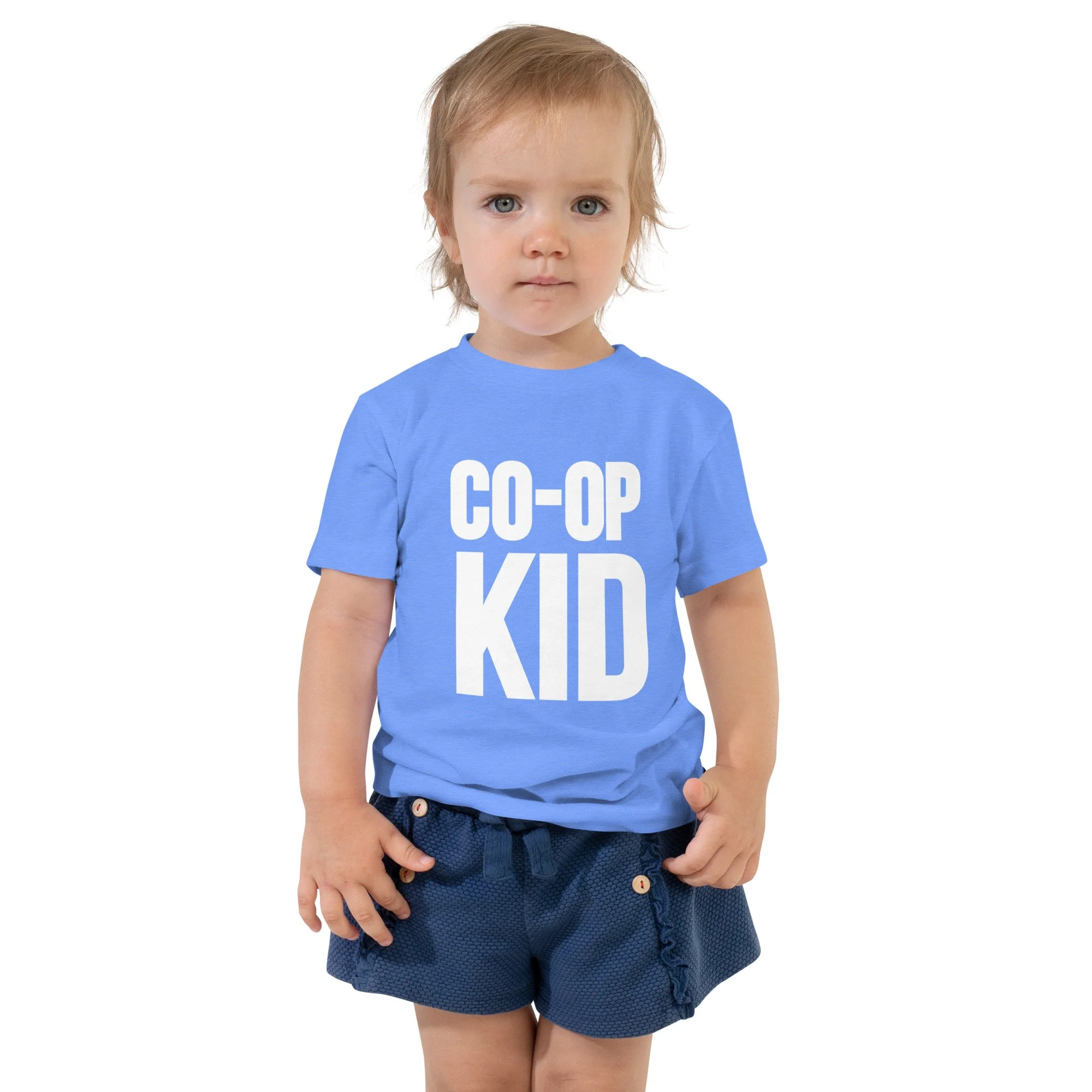 toddler-staple-tee-heather-columbia-blue-front-6a053486ad27f.jpg