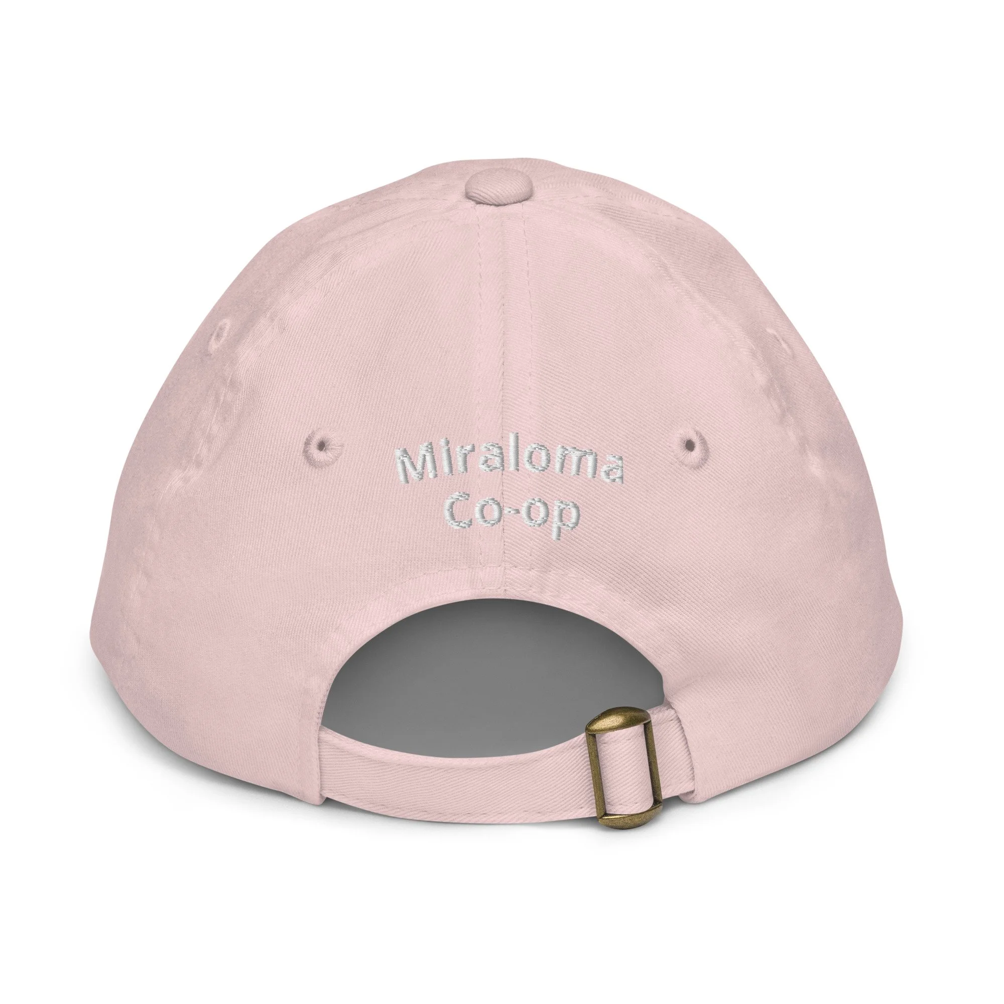 youth-baseball-cap-light-pink-back-6a053779b6071.jpg