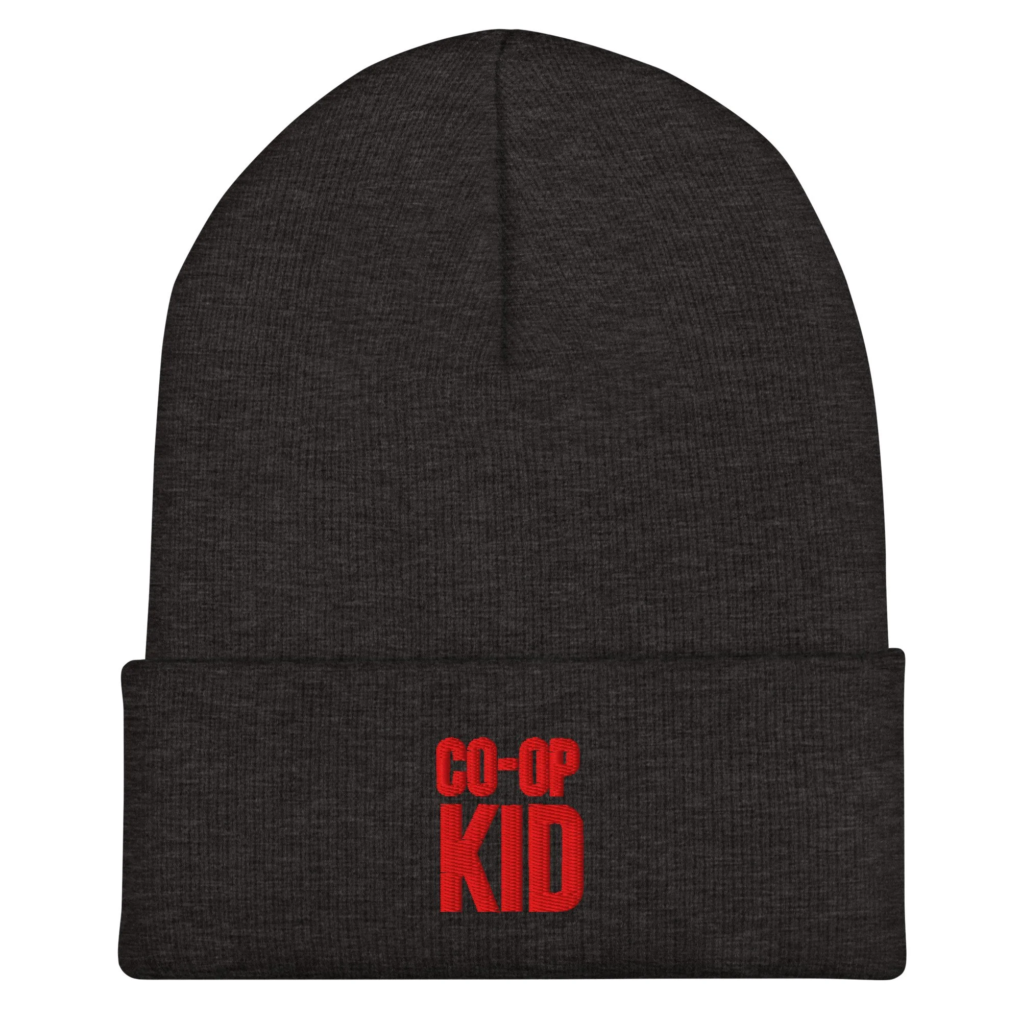 cuffed-beanie-dark-grey-front-6a053b62dded6.jpg