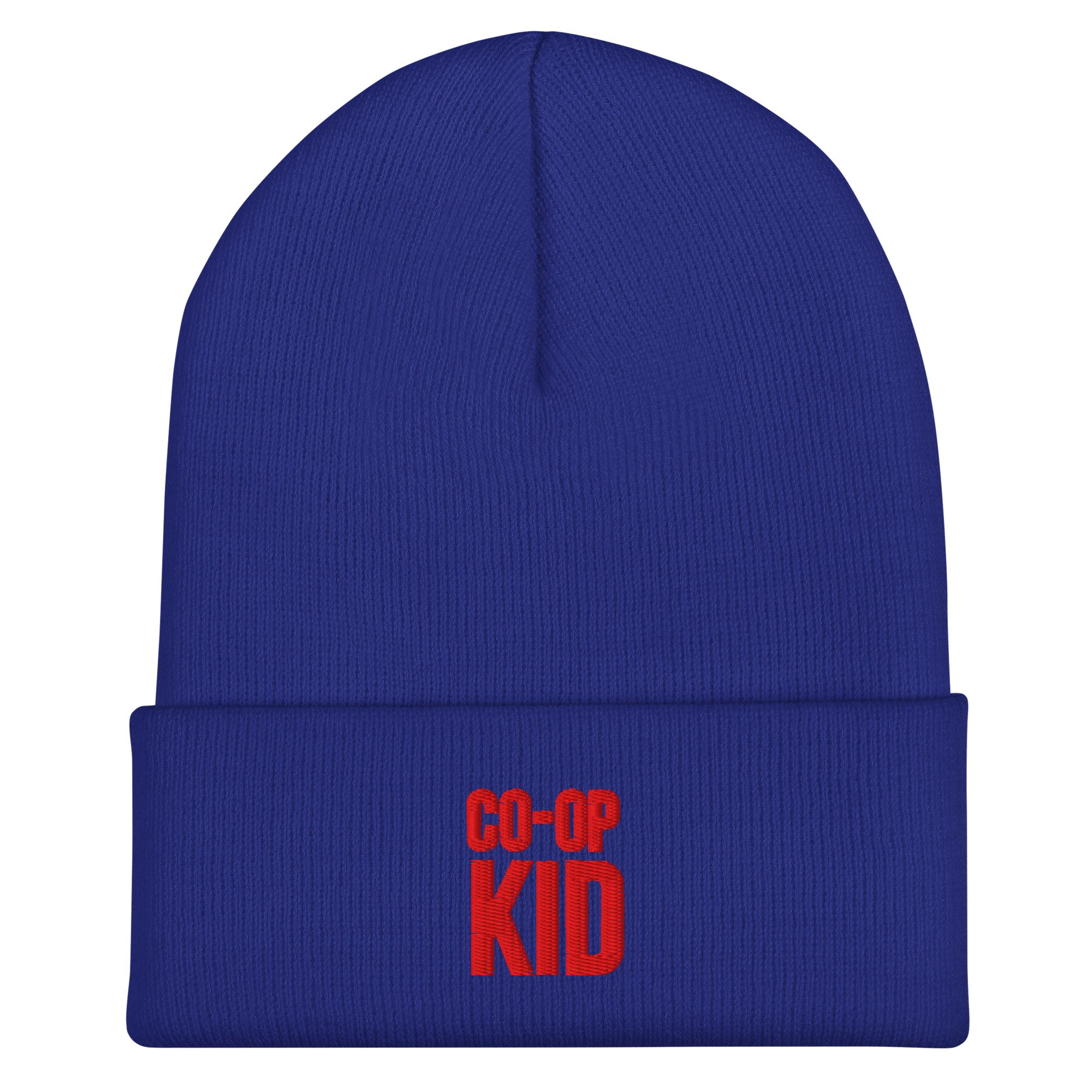 cuffed-beanie-royal-front-6a053b62de0b9.jpg