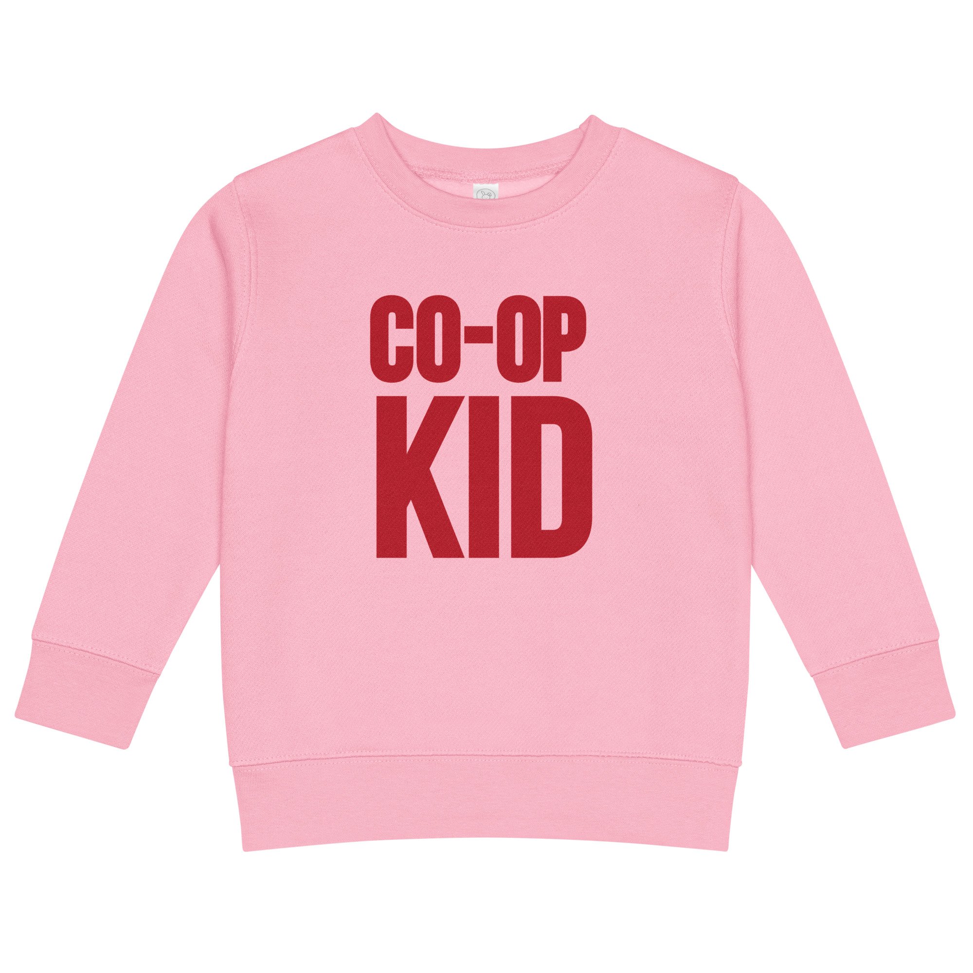 kids-crew-neck-sweatshirt-pink-front-6a06ba821a71f.jpg