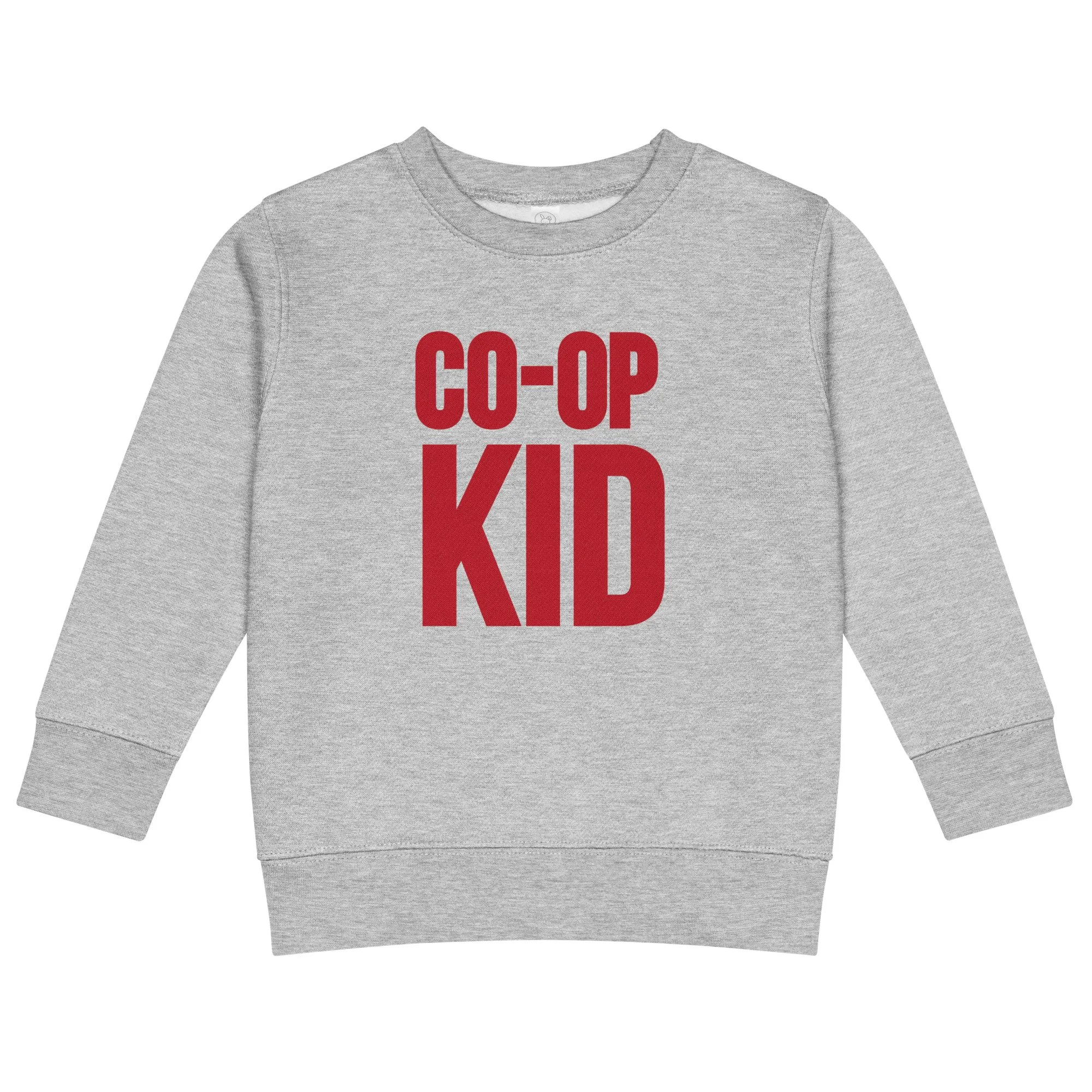 kids-crew-neck-sweatshirt-heather-front-6a06ba821a53f.jpg