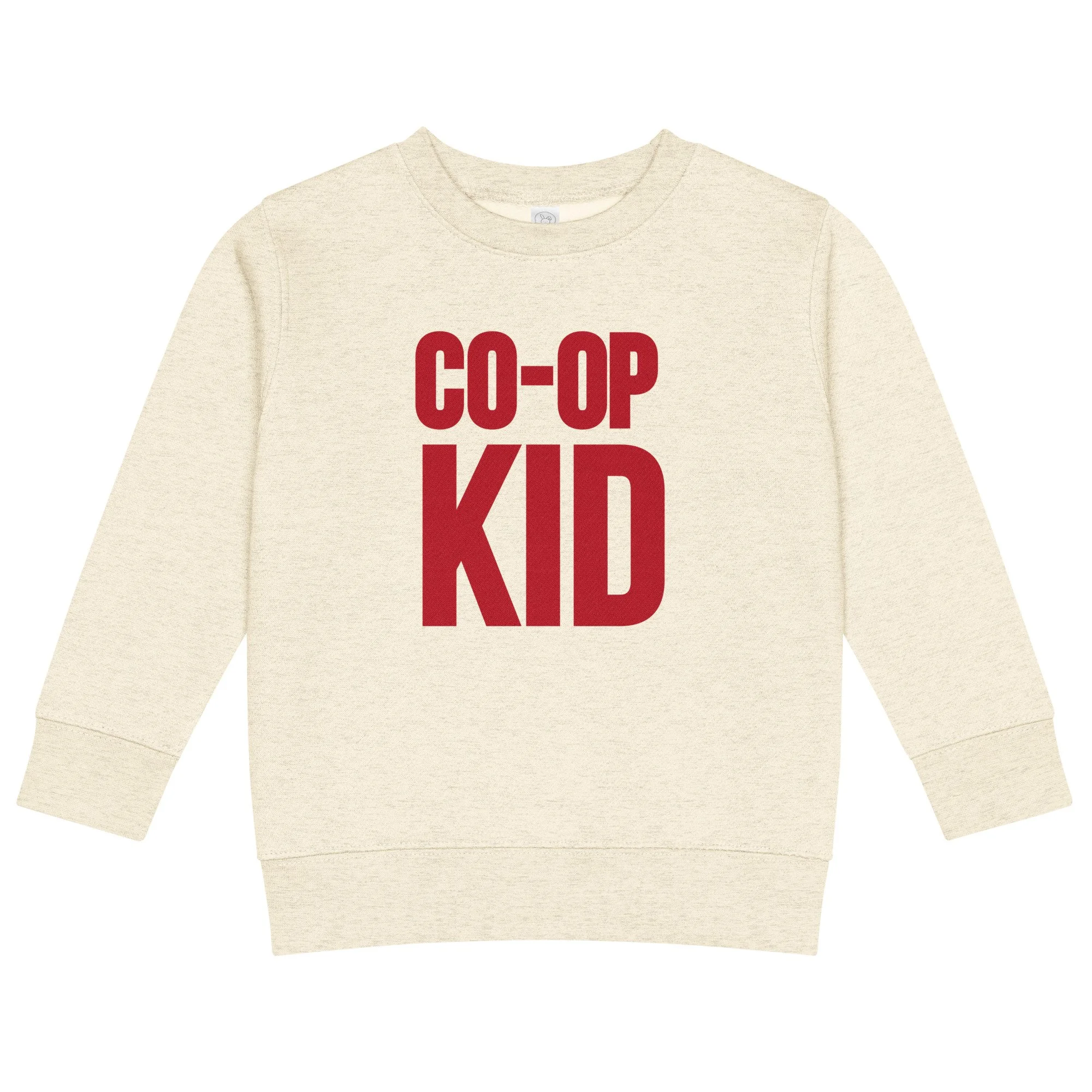 kids-crew-neck-sweatshirt-natural-heather-front-6a06ba821a5fc.jpg