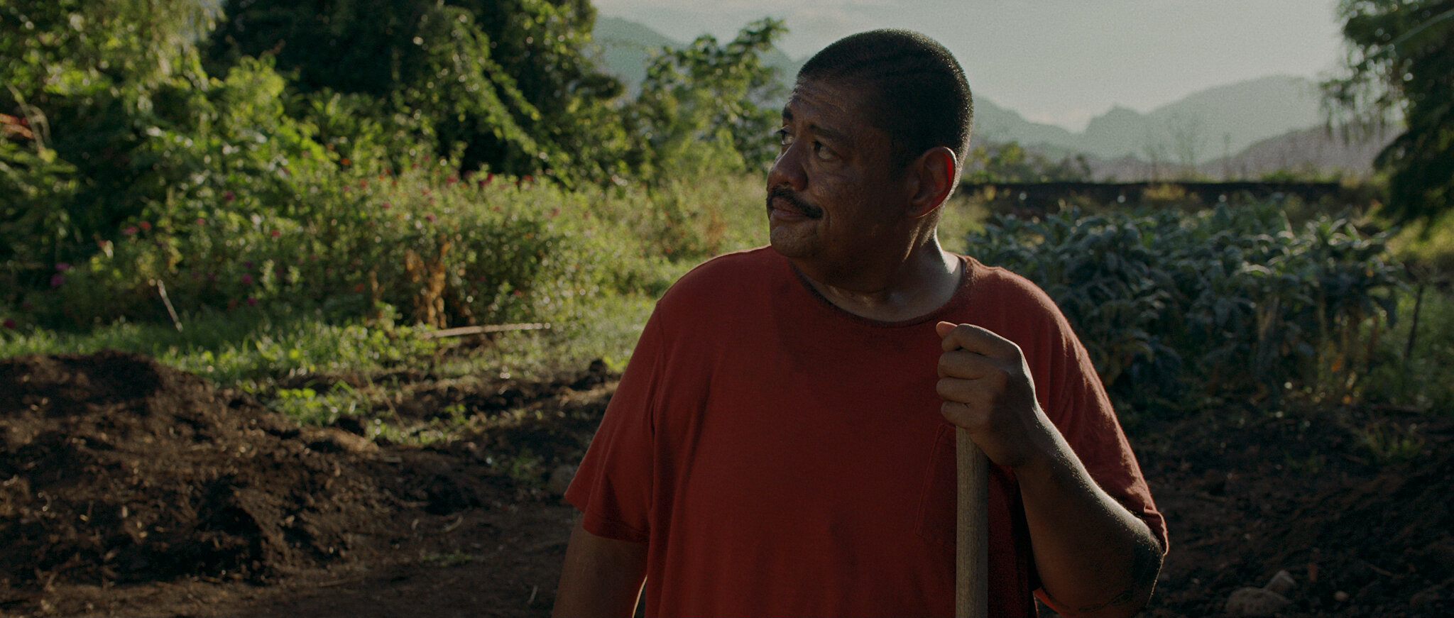 Abraham Williams DP
