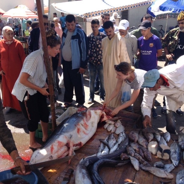 National Geographic, Ocean Views "The conservation group that's working to end shark fin sales and distribution in the UK by 2023"