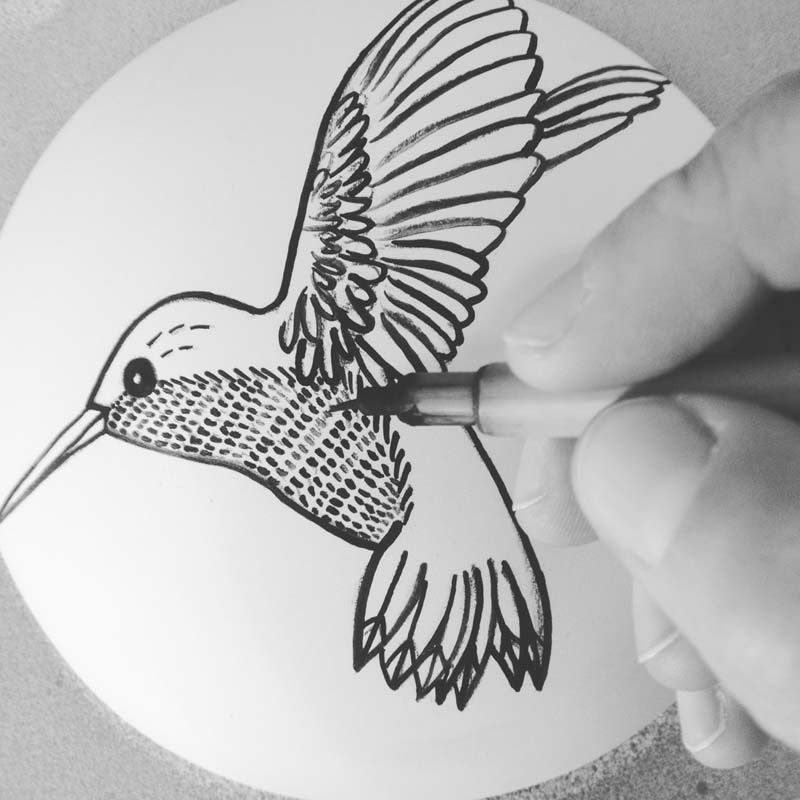 Hummingbird Illustration