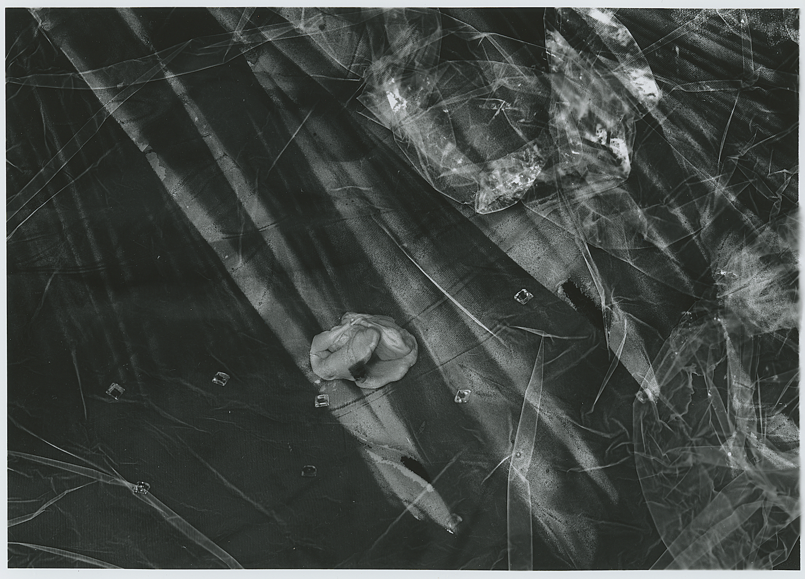 Silver Gelatin Print, 2018. (8 x 11 in.)