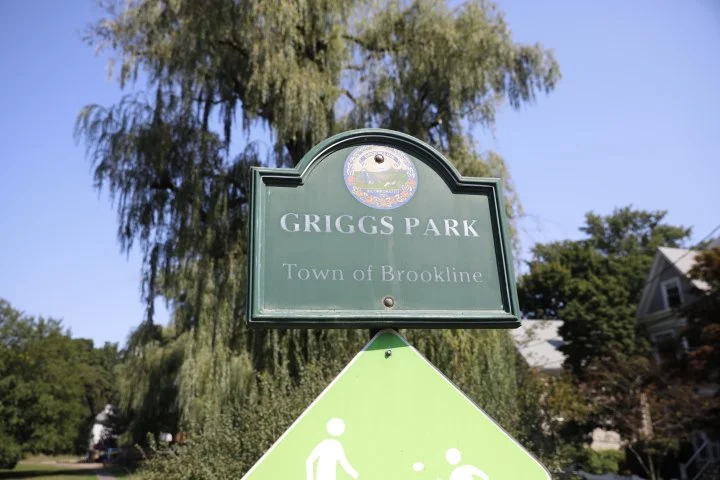 GriggsParkBrookline_101.JPG