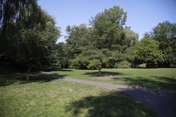 GriggsParkBrookline_105.JPG