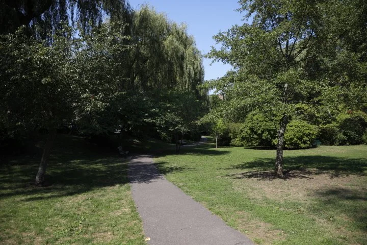 GriggsParkBrookline_106.JPG