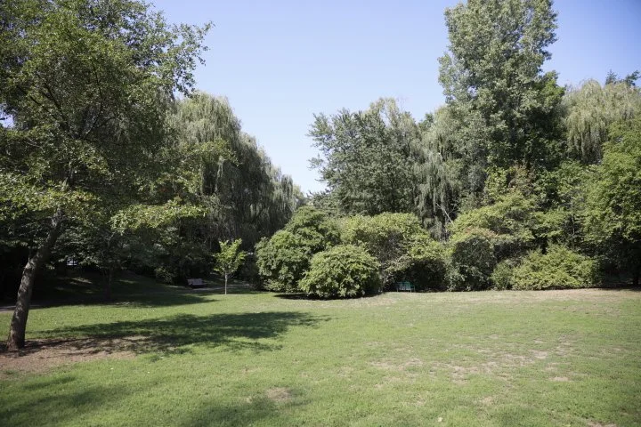 GriggsParkBrookline_107.JPG