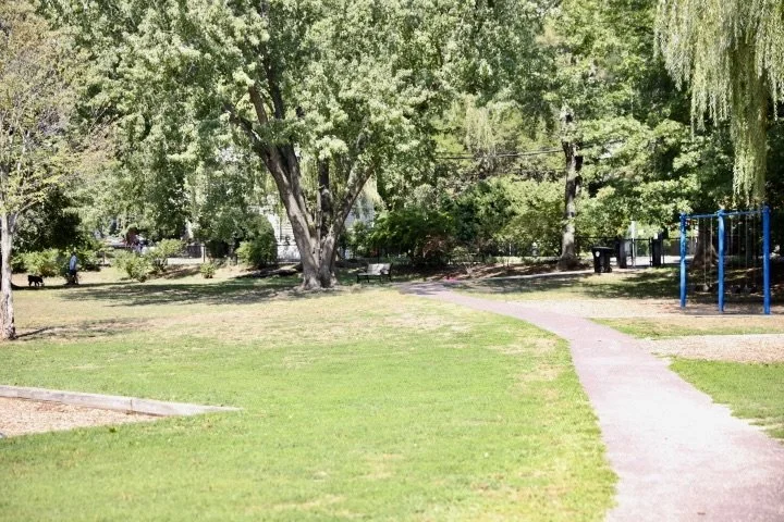 GriggsParkBrookline_114.JPG