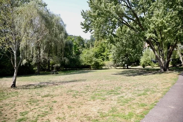 GriggsParkBrookline_115.JPG