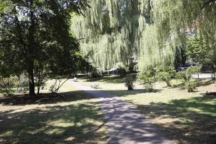 GriggsParkBrookline_118.JPG
