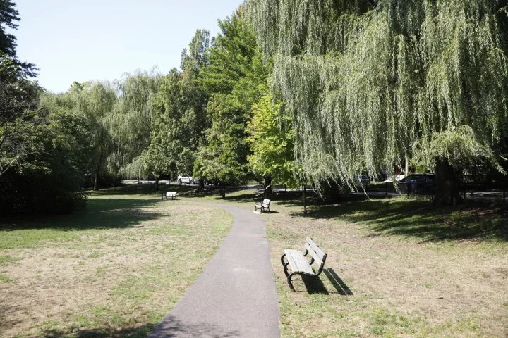 GriggsParkBrookline_121.JPG