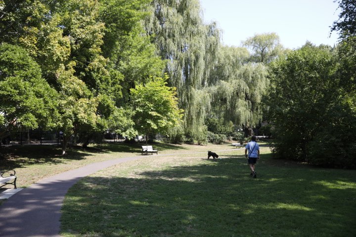 GriggsParkBrookline_130.JPG