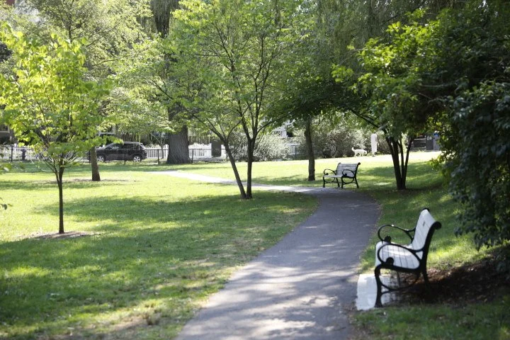 GriggsParkBrookline_140.JPG