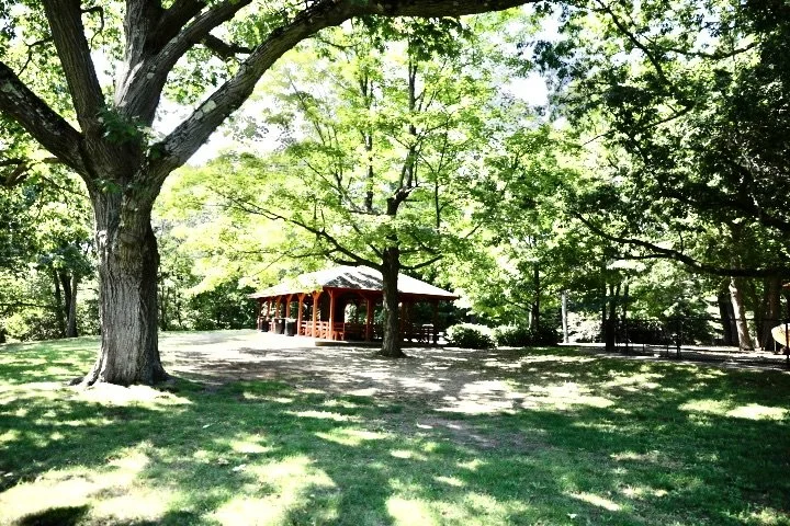 LarzAndersonPark_146.JPG
