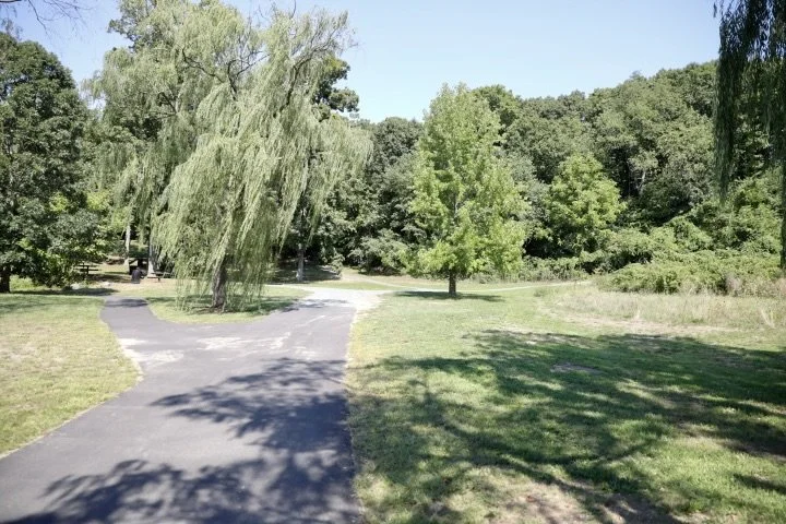 LarzAndersonPark_122.JPG