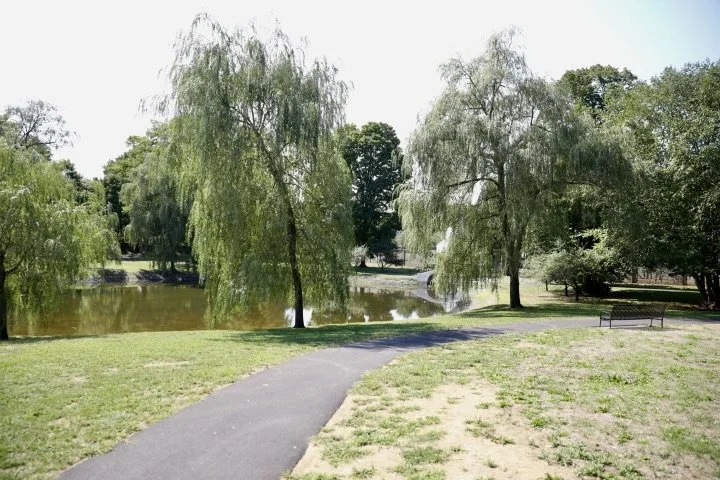 LarzAndersonPark_103.JPG
