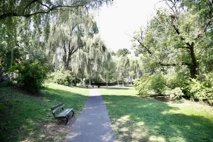 GriggsParkBrookline_138.JPG
