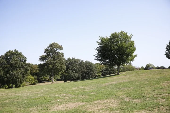 LarzAndersonPark_176.JPG