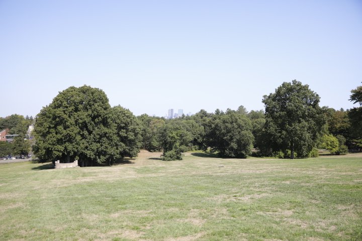 LarzAndersonPark_175.JPG