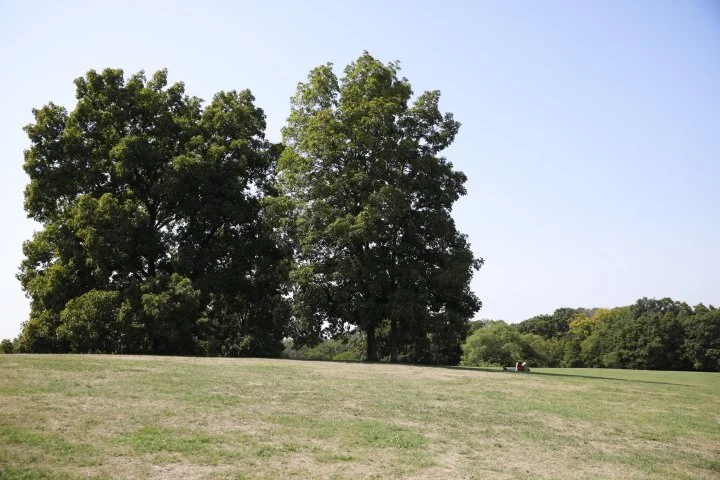 LarzAndersonPark_172.JPG