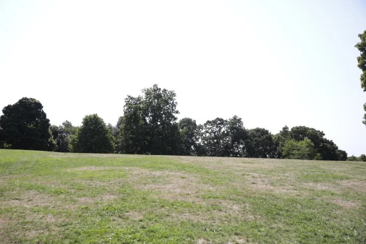 LarzAndersonPark_173.JPG