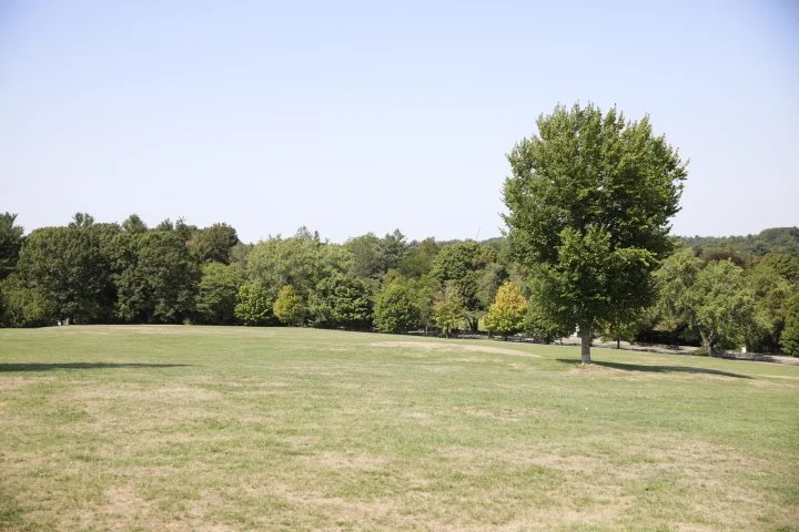 LarzAndersonPark_171.JPG
