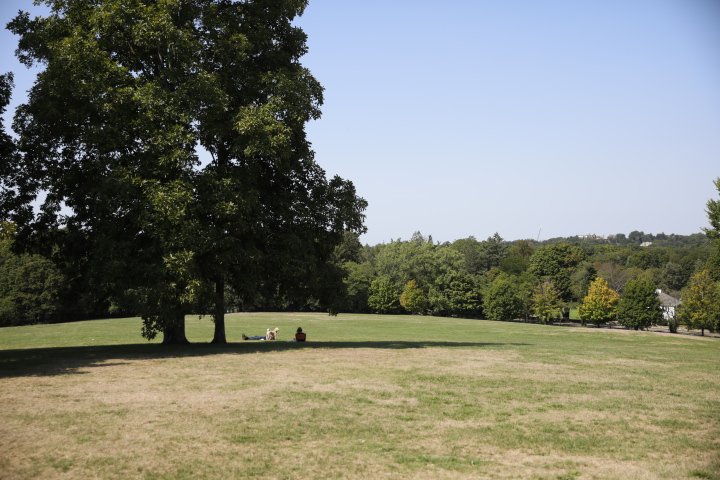 LarzAndersonPark_168.JPG