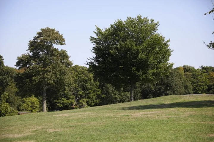 LarzAndersonPark_167.JPG