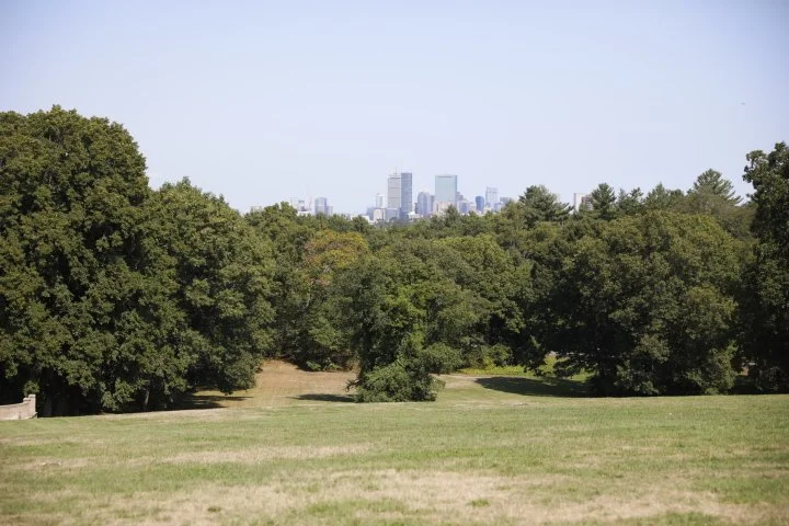 LarzAndersonPark_166.JPG