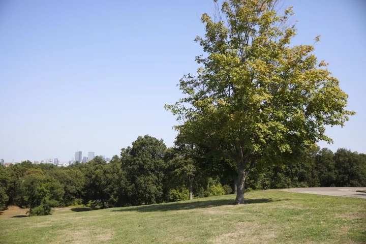 LarzAndersonPark_161.JPG