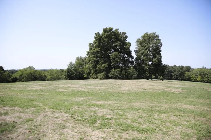 LarzAndersonPark_156.JPG