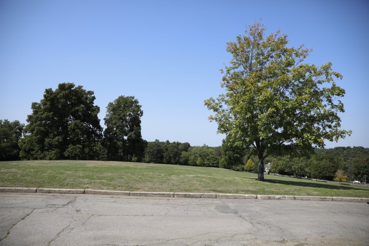 LarzAndersonPark_154.JPG