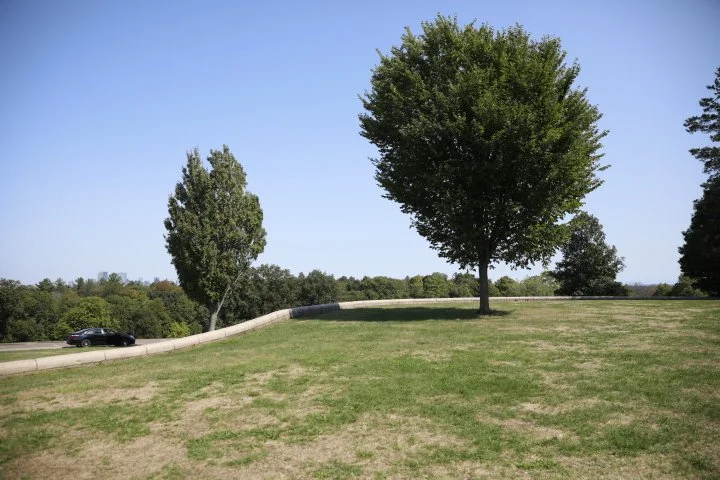 LarzAndersonPark_150.JPG