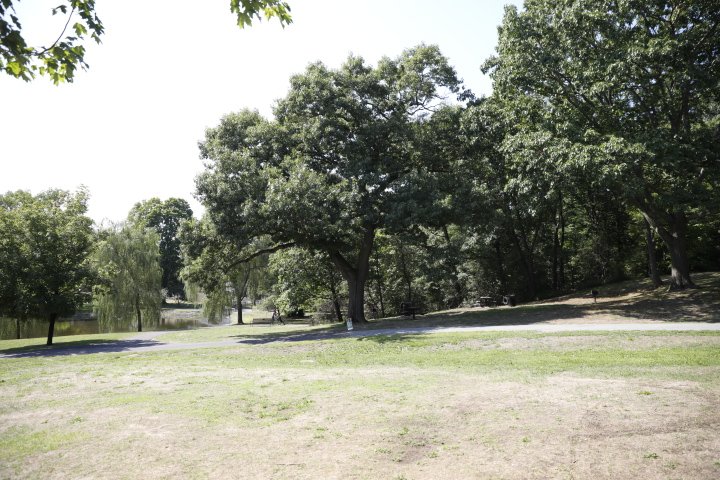 LarzAndersonPark_142.JPG