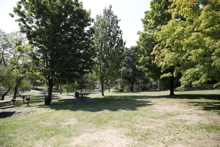 LarzAndersonPark_131.JPG