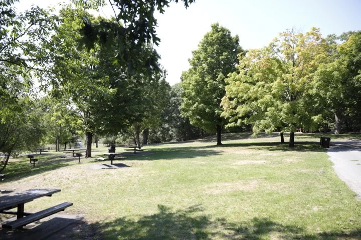 LarzAndersonPark_129.JPG