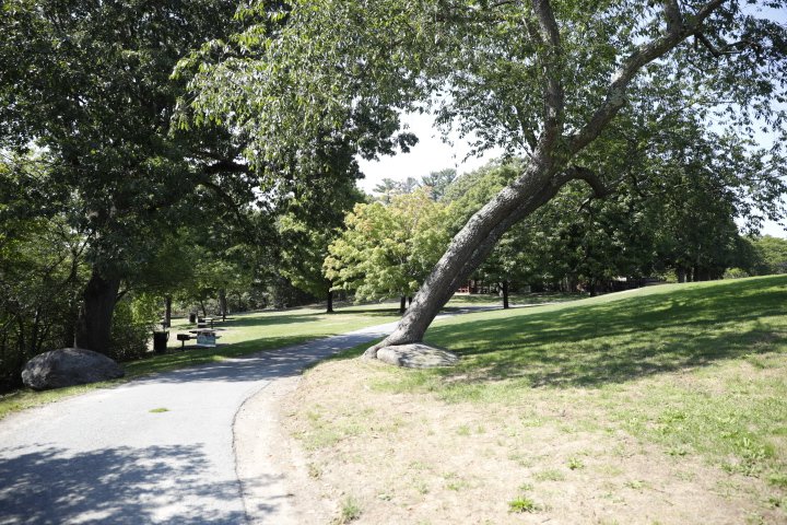 LarzAndersonPark_126.JPG