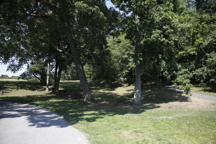 LarzAndersonPark_124.JPG